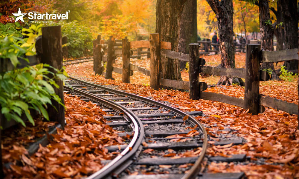 Ngày 1: SEOUL – NAMI (Ăn sáng, trưa, tối)